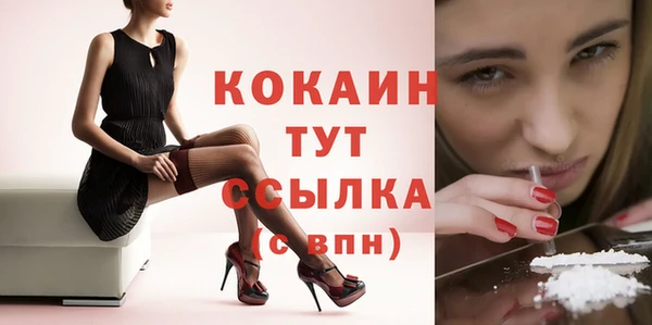 дживик Сосновка